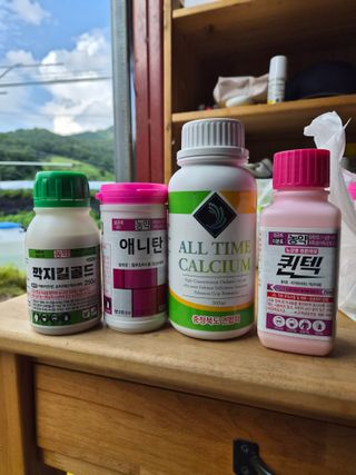조영민님의 포도 · 영농일지 작성글 사진