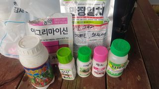 최춘득 청대산 님의 고구마 · 영농일지 작성글 사진