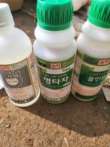 팜모닝 벼·영농일지 게시글 이미지