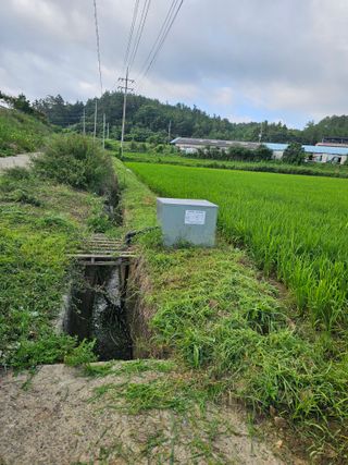 서영욱 님의 기타작물 · 영농일지 작성글 사진