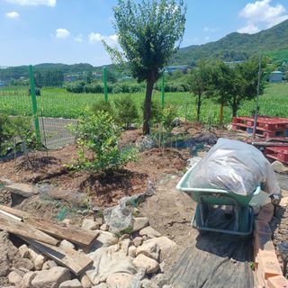 正覺님의 기타작물 · 영농일지 작성글 사진
