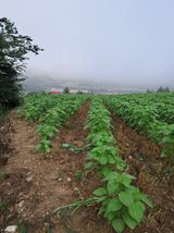 양파7244님의 작성글 사진
