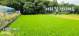 팜모닝 벼·영농일지 게시글 이미지