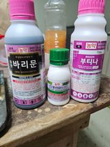 팜모닝 딸기·영농일지 게시글 이미지