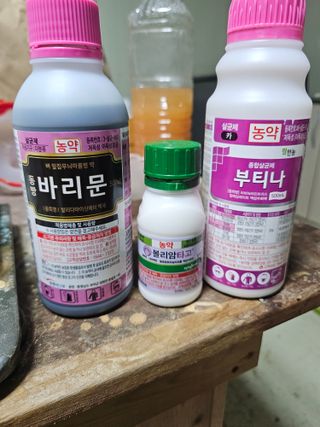 김상엽님의 딸기 · 영농일지 작성글 사진