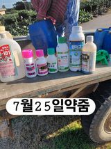 팜모닝 기타작물·영농일지 게시글 이미지