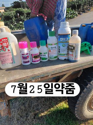 나성주님의 기타작물 · 영농일지 작성글 사진