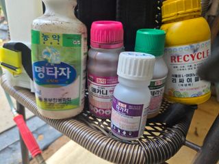 귤7412님의 기타작물 · 영농일지 작성글 사진