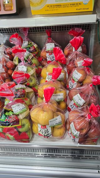 축복의땅 에덴동산님의 기타작물 · 영농일지 작성글 사진