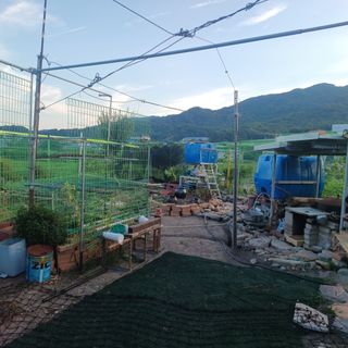 正覺님의 기타작물 · 영농일지 작성글 사진