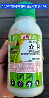 팜모닝 귤·영농일지 게시글 이미지