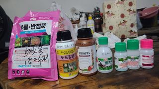 고춘석(고랑과이랑)님의 고추 · 영농일지 작성글 사진