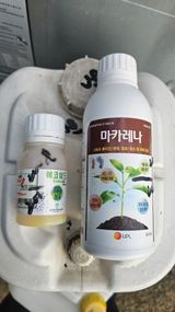 kkk님의 작성글 사진