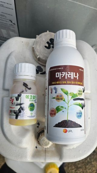 kkk님의 기타작물 · 영농일지 작성글 사진