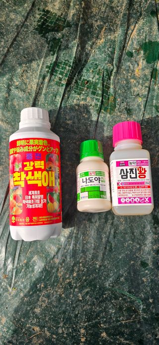 고인석님의 포도 · 영농일지 작성글 사진