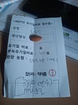 팜모닝 감·영농일지 게시글 이미지