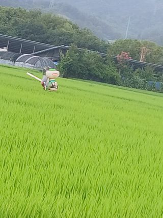 최남옥님의 기타작물 · 영농일지 작성글 사진