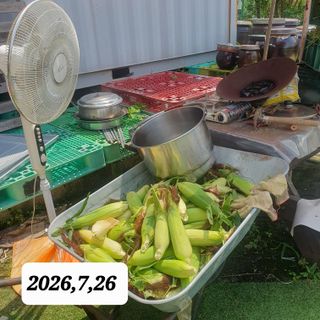 시민농장님의 고추 · 영농일지 작성글 사진