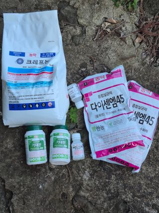 강정호님의 귤 · 영농일지 작성글 사진