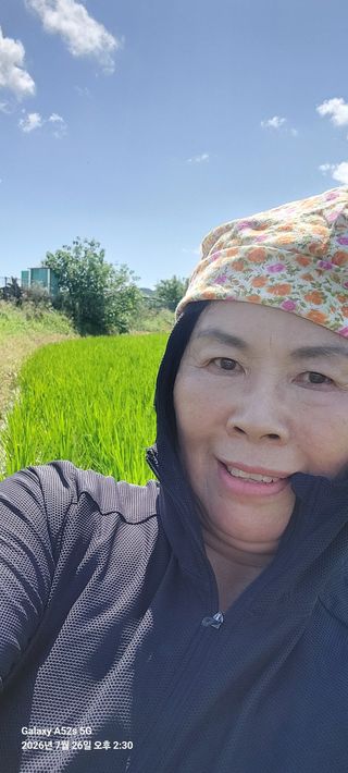 님의 벼 · 영농일지 작성글 사진