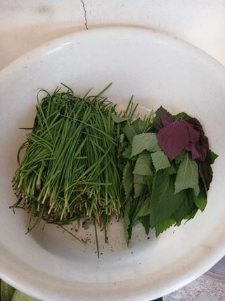 오재유님의 작성글 사진