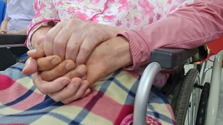 축복의땅 에덴동산님의 기타작물 · 영농일지 작성글 사진