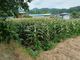 홈 갤러리 이미지