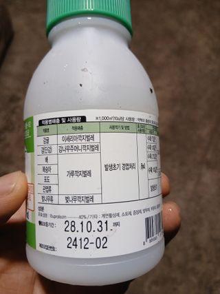라이온3241님의 귤 · 영농일지 작성글 사진