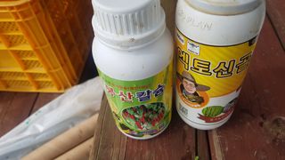 최춘득 청대산 님의 고추 · 영농일지 작성글 사진