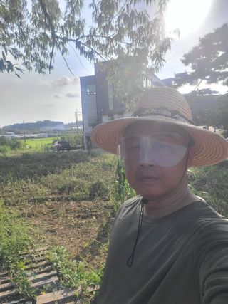 로만아빠님의 기타작물 · 영농일지 작성글 사진