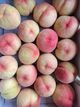 홈 갤러리 이미지