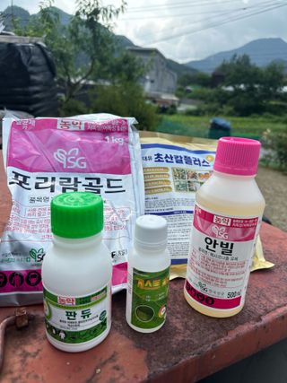 이익수님의 기타작물 · 영농일지 작성글 사진