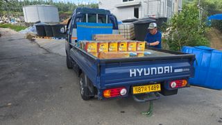 축복의땅 에덴동산님의 기타작물 · 영농일지 작성글 사진
