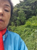 팜모닝 배추·영농일지 게시글 이미지