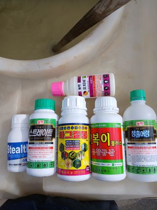 조성민님의 참깨 · 영농일지 작성글 사진