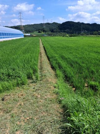 전복수님의 기타작물 · 영농일지 작성글 사진