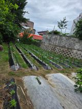 박병철님의 작성글 사진