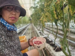 늘햇살팜 님의 기타작물 · 영농일지 작성글 사진