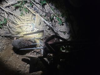 박치문님의 블루베리 · 영농일지 작성글 사진
