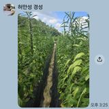 팜모닝 참깨·영농일지 게시글 이미지