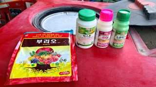 김준호님의 작성글 사진