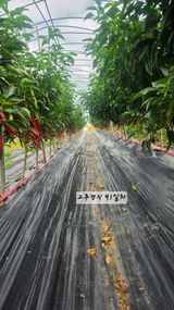 최석주님의 작성글 사진