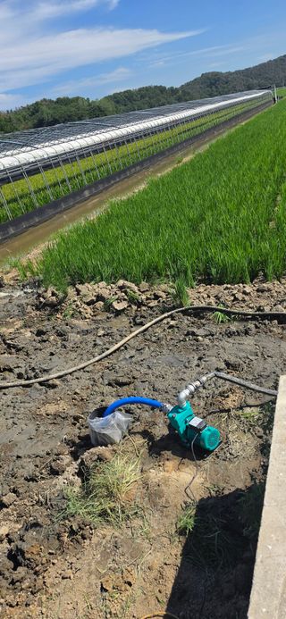 구춘봉님의 벼 · 영농일지 작성글 사진
