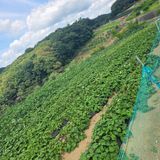 오케바리(옥경종)님의 작성글 사진