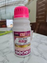 팜모닝 딸기·영농일지 게시글 이미지