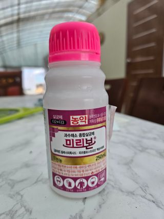 김상엽님의 딸기 · 영농일지 작성글 사진