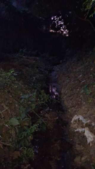 딸기17376님의 기타작물 · 영농일지 작성글 사진