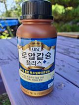 헤이쥬회원님의 작성글 사진