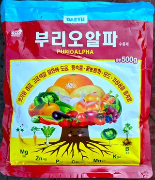 kia1588님의 귤 · 영농일지 작성글 사진