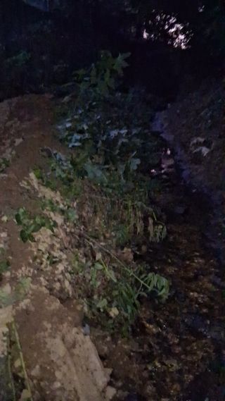 딸기17376님의 기타작물 · 영농일지 작성글 사진